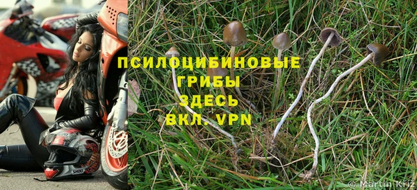 эйфоретик Бугульма