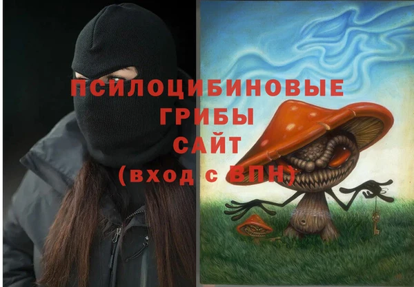 эйфоретик Бугульма