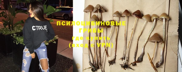 2c-b Бронницы