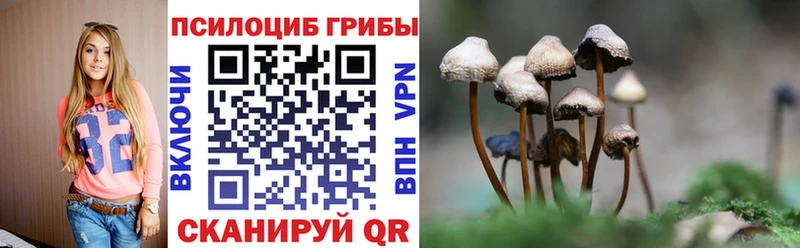 Галлюциногенные грибы Cubensis  Мегион 
